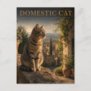 Hauskatze Garten Hof TIER Postkarte