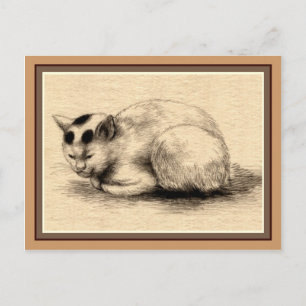 Hauskatze Japanische Tuschezeichnung Postkarte