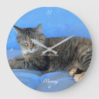Hauskatze-Liebe