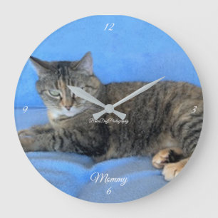 Hauskatze-Liebe Große Wanduhr
