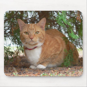 Hauskatze Orange Ginger Tabby Mousepad