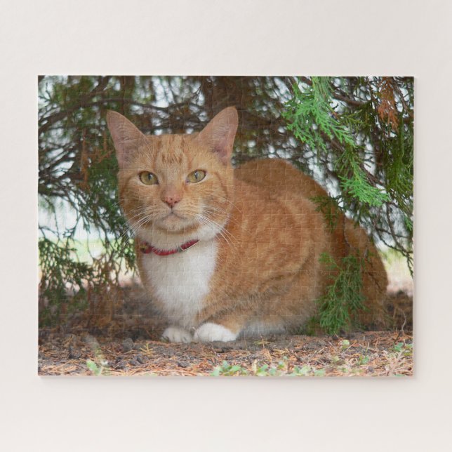 Hauskatze Orange Ginger Tabby Puzzle (Horizontal)