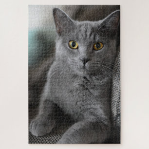 Hauskatze-Puzzle Puzzle