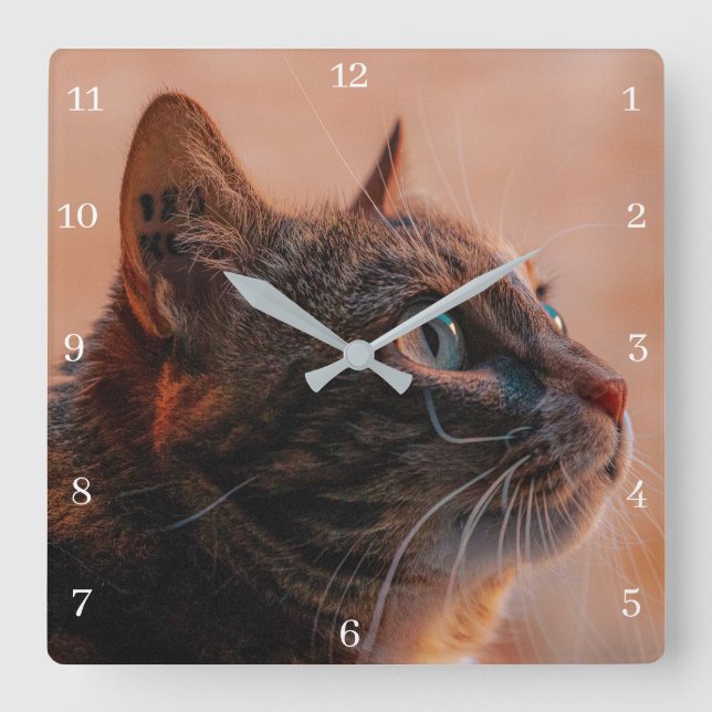 Hauskatze Quadratische Wanduhr (Vorderseite)