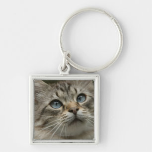 Hauskatze Schlüsselanhänger