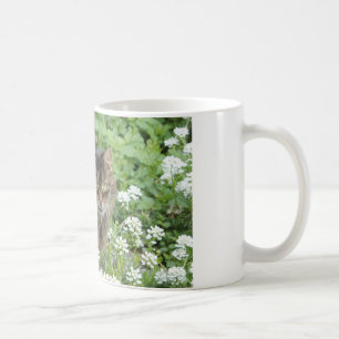 Hauskatze Tasse