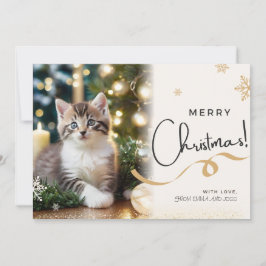 Hauskatze Weihnachtskarte Feiertagskarte