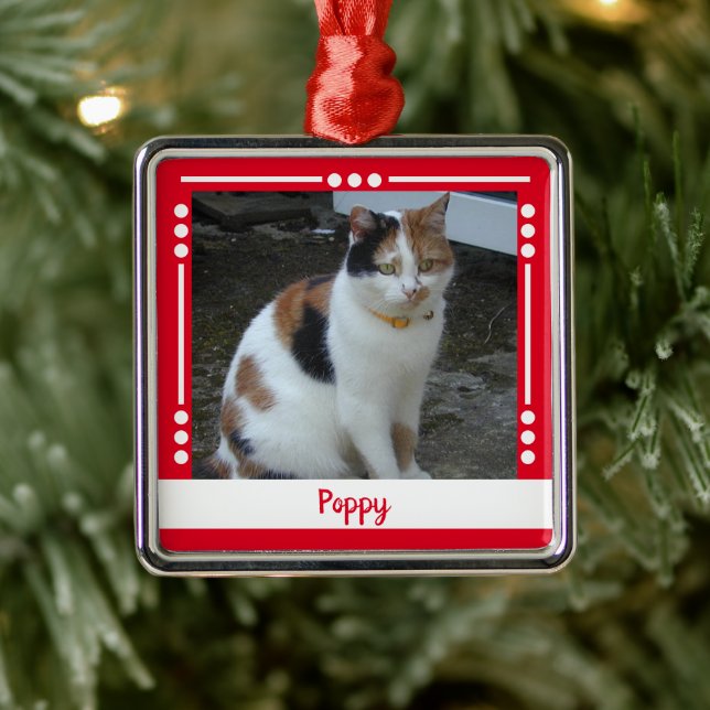 Hauskatzen Name Foto Holiday Rot Ornament Aus Metall (Baum)