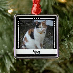 Hauskatzen Name Foto Holiday Schwarz-weiß Ornament Aus Metall