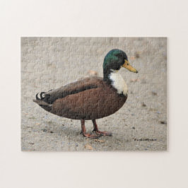 Häusliches Mallard Duclair Bibbed Odd Ente Puzzle
