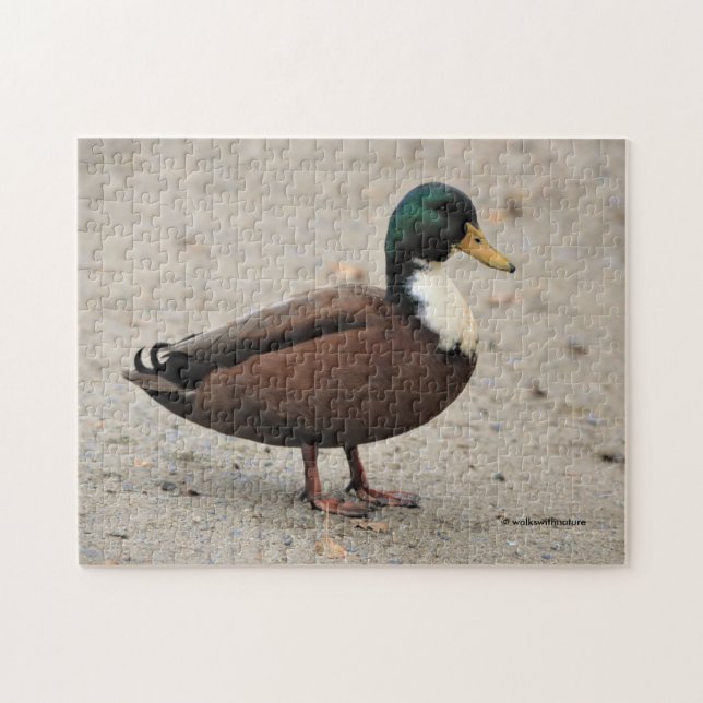 Häusliches Mallard Duclair Bibbed Odd Ente Puzzle (Horizontal)