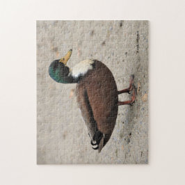 Häusliches Mallard Duclair Bibbed Odd Ente Puzzle
