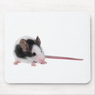 Hausmaus Mousepad