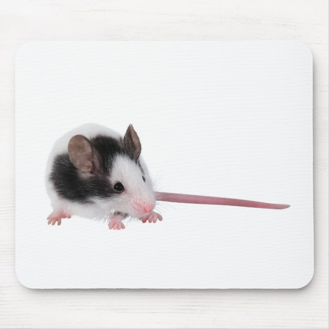 Hausmaus Mousepad (Vorne)