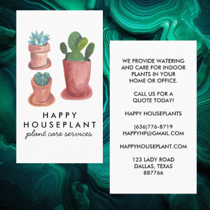 Hauspflanze Cactus succulents Visitenkarte