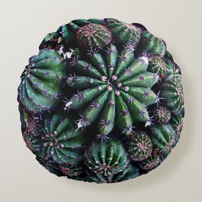 Hauspflanze Kaktus: Kinderzimmer Schönes Design Rundes Kissen (Vorderseite)