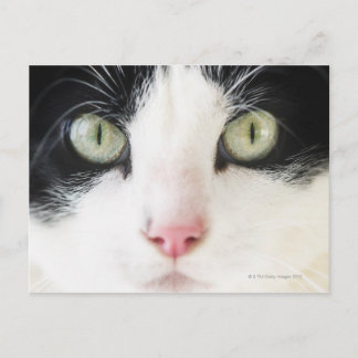 Hausschuhe Postkarte