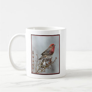 Haussperling im Schnee - Originalfotografie Kaffeetasse