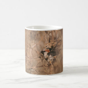 Haussperlinge im Frühling Wildlife-Fotografie Kaffeetasse