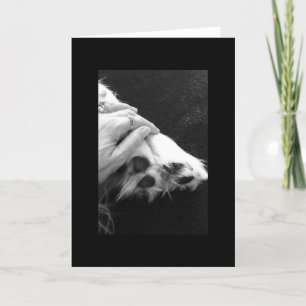 Haustier-Beileid Karte