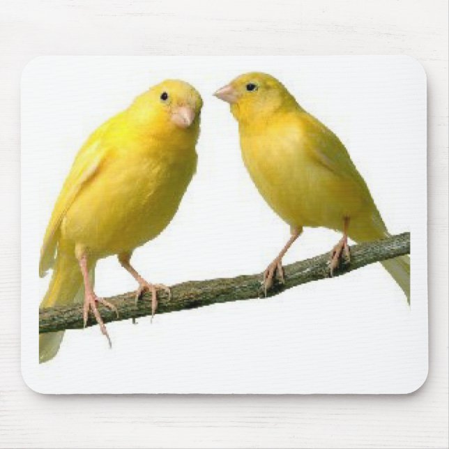 Haustier Canary Bird Merchandise Mousepad (Vorne)