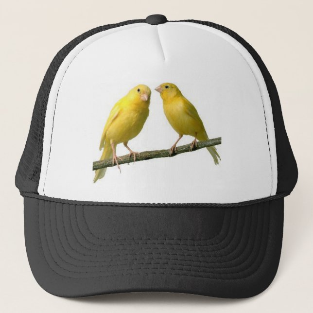 Haustier Canary Bird Merchandise Truckerkappe (Vorderseite)