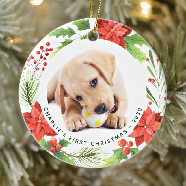 Haustier Custom 2 Hund Foto Poinsettia Weihnachten Keramik Ornament (Von Creator hochgeladen)