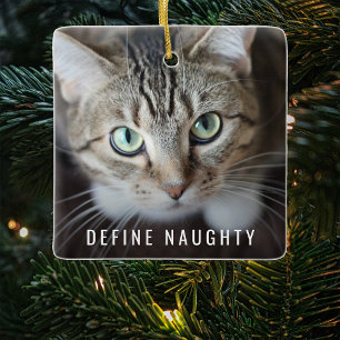 Haustier definiert unartig Foto-Weihnachtsbaum Keramikornament