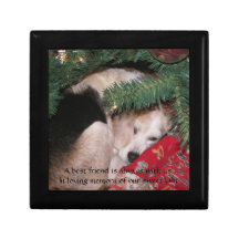 Haustier-Denkmal-Kasten