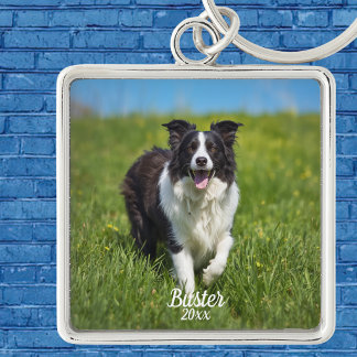 Haustier-Foto Border Collie Personalisieren Schlüsselanhänger