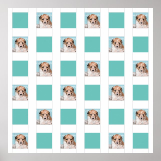 Haustier-Foto-Collage 18 DIY-Keepake-Mauer Poster (Vorne)