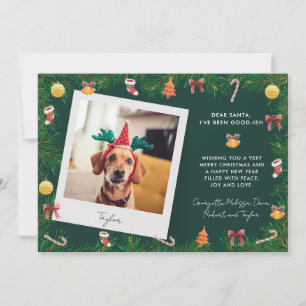 Haustier-Foto-Hund Lustige Weihnachten