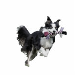 Haustier-Foto-Skulptur-Statuette - Grenzcollie Freistehende Fotoskulptur<br><div class="desc">Machen Sie diese fantastische Haustier-Fotoskulptur für Ihren Schreibtisch, indem Sie ein Foto Ihres Haustieres laden. Zum Anzug völlig besonders angefertigt werden kann Ihr Bedarf. © Gorjo Entwürfe. Gemacht für Sie über die Zazzle Plattform. //-Bedarfshilfe, die Ihren Entwurf besonders anfertigt? Got andere Ideen? Fühlen Sie sich frei, mit mir (Zoe) direkt...</div>