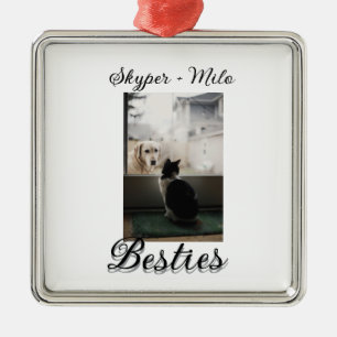 Haustier Freunde beste Freunde Name Haustier Foto Ornament Aus Metall