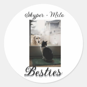Haustier Freunde beste Freunde Name Haustier Foto Runder Aufkleber