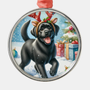 Haustier Gedenk Roter Büffel Karo Andenken Hund Fo Silbernes Ornament
