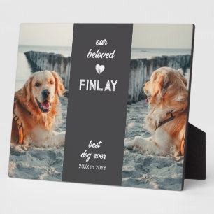 Haustier Gedenken 2 Foto Bester Hund Aller Zeiten Fotoplatte