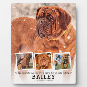 Haustier-Gedenkgeschenk - Katze verlieren 4 FotoCo Fotoplatte