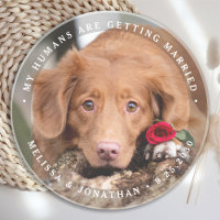 Haustier Hochzeit Personalisierter Hund Foto Verlo