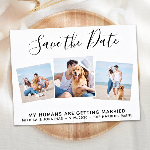 Haustier Hochzeitshungmittelsammler Hund Save the  Ankündigungspostkarte