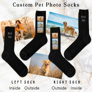 Haustier Hund 3-Foto-Collage Name Jahr Schwarz Socken