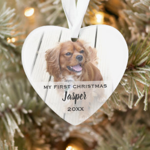 Haustier Hund Erstes Weihnachtsfest Fotos Tree Orn Ornament