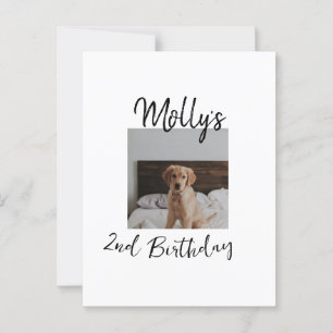 Haustier Hund Katze Tier Geburtstagsfoto modern ei Postkarte