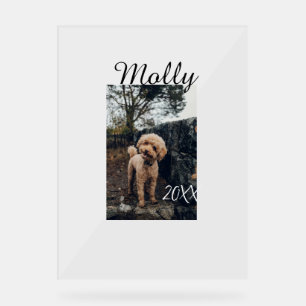Haustier Hund Katze Tier Geburtstagsfoto modern Ja Acrylschild