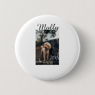 Haustier Hund Katze Tier Geburtstagsfoto modern Ja Button