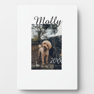 Haustier Hund Katze Tier Geburtstagsfoto modern Ja Fotoplatte