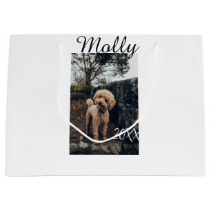 Haustier Hund Katze Tier Geburtstagsfoto modern Ja Große Geschenktüte