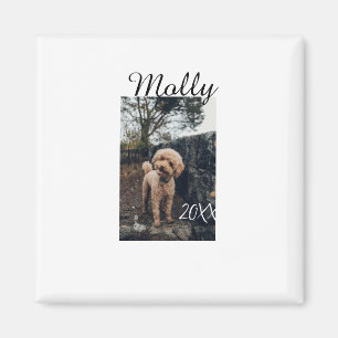Haustier Hund Katze Tier Geburtstagsfoto modern Ja Magnet