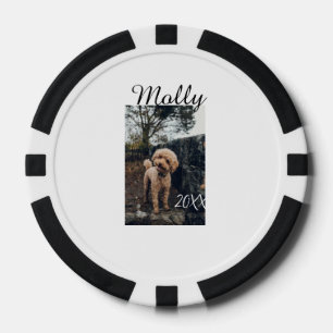 Haustier Hund Katze Tier Geburtstagsfoto modern Ja Pokerchips