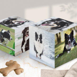 Haustier-Hunde-Mehrfach-Foto-Anzeige Würfel
